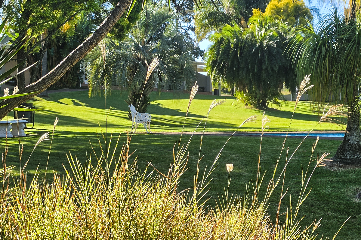 Lodge gardens, palms and lawns