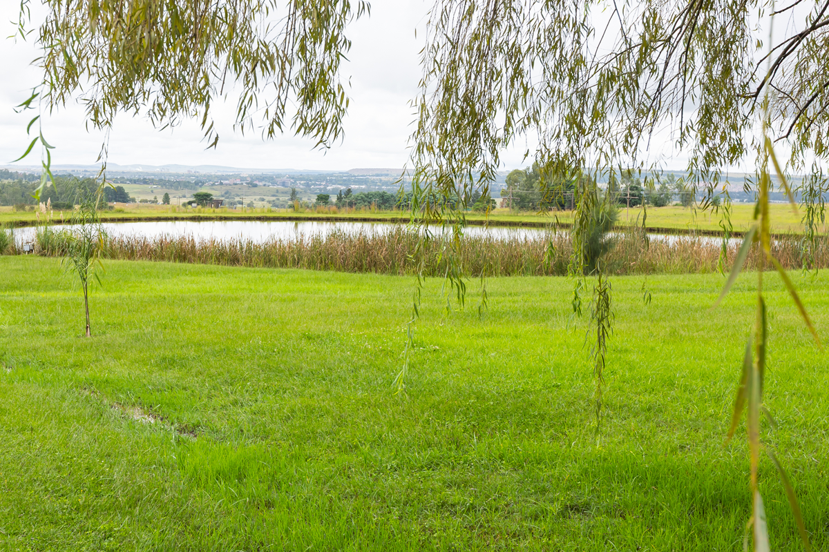 Fishing dam and countryside views