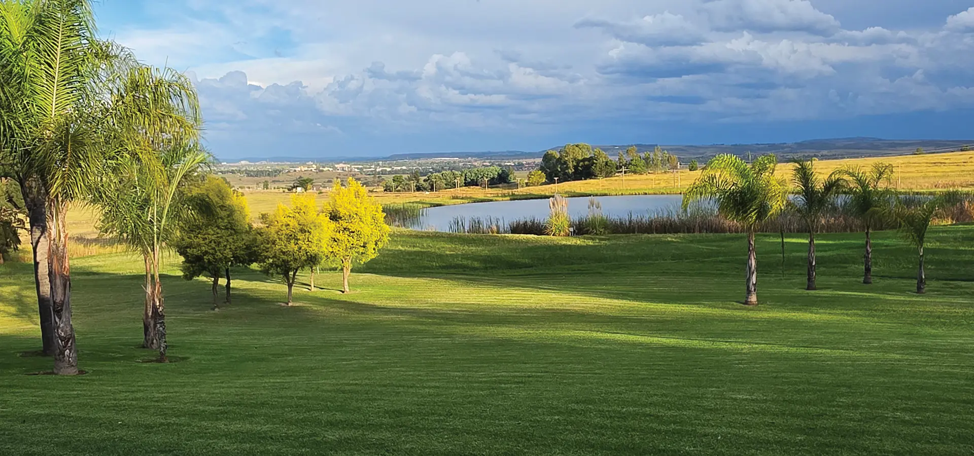 Lush lawns and palm trees at Newcastle Country Lodge