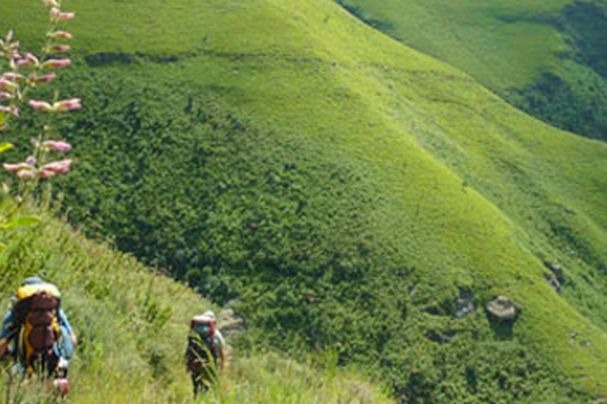 Hikers on a trail through lush green hills